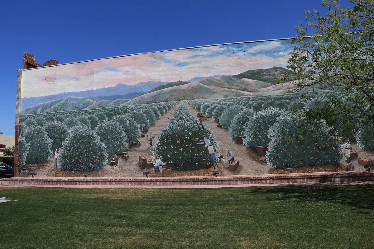 Exeter Murals