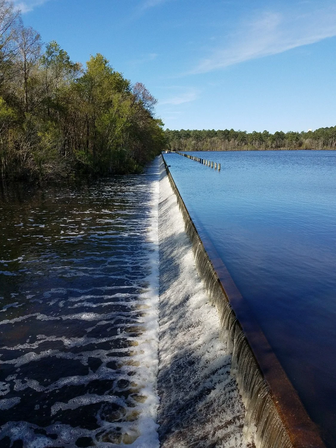 Little Ocmulgee State Park and Lodge