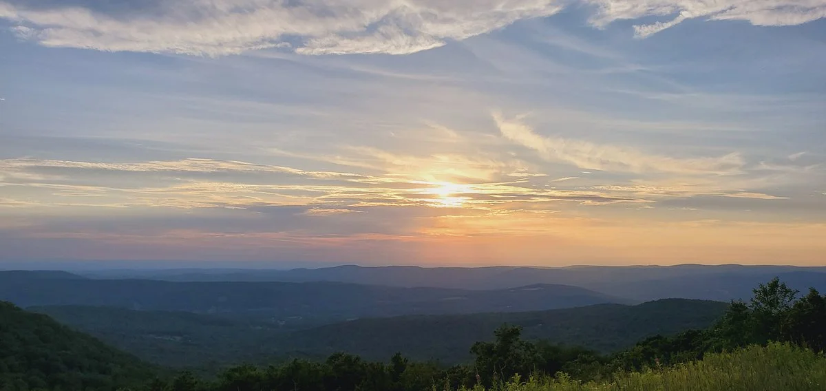 Pittsfield State Forest