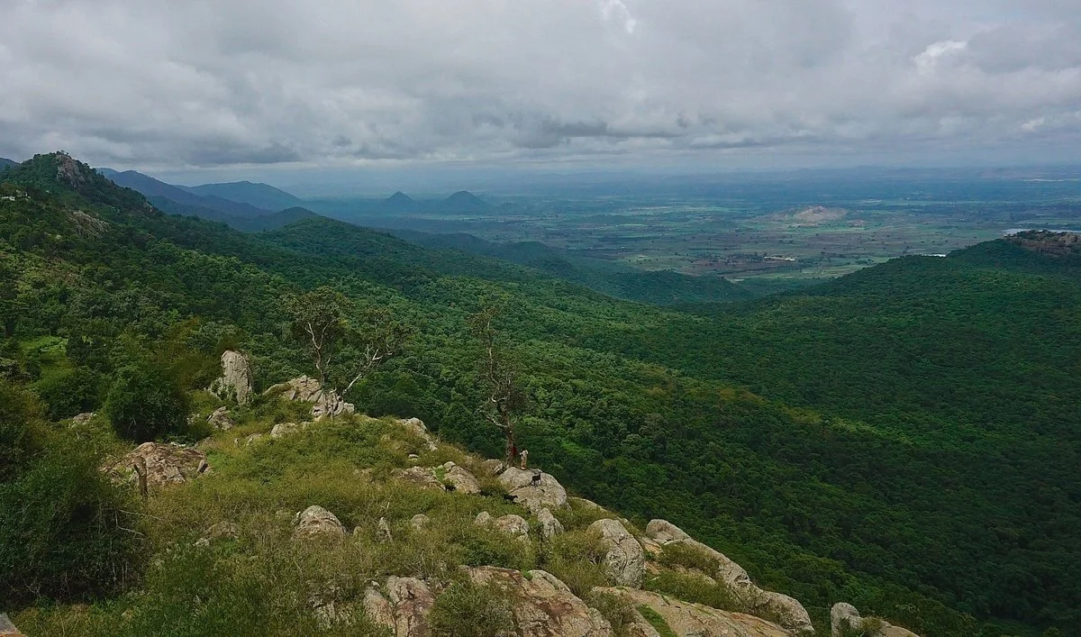 Biligirirangan Hills