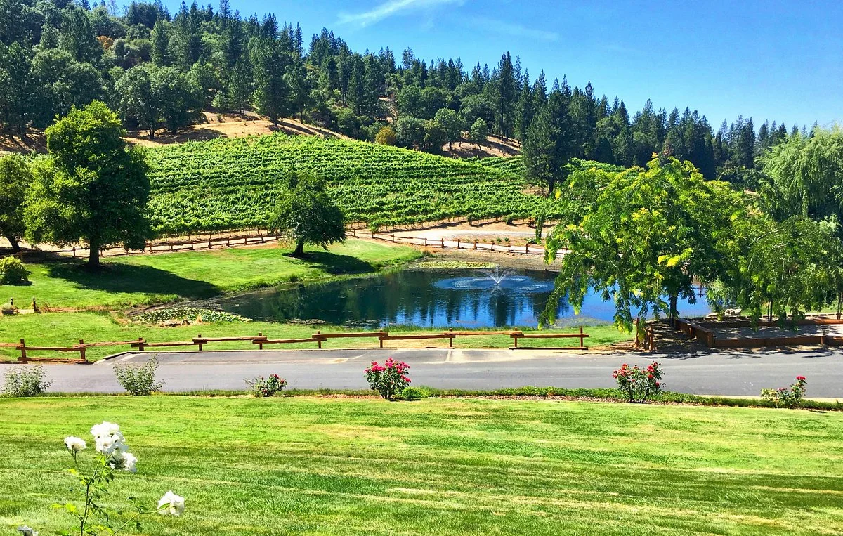 Saluti Cellars