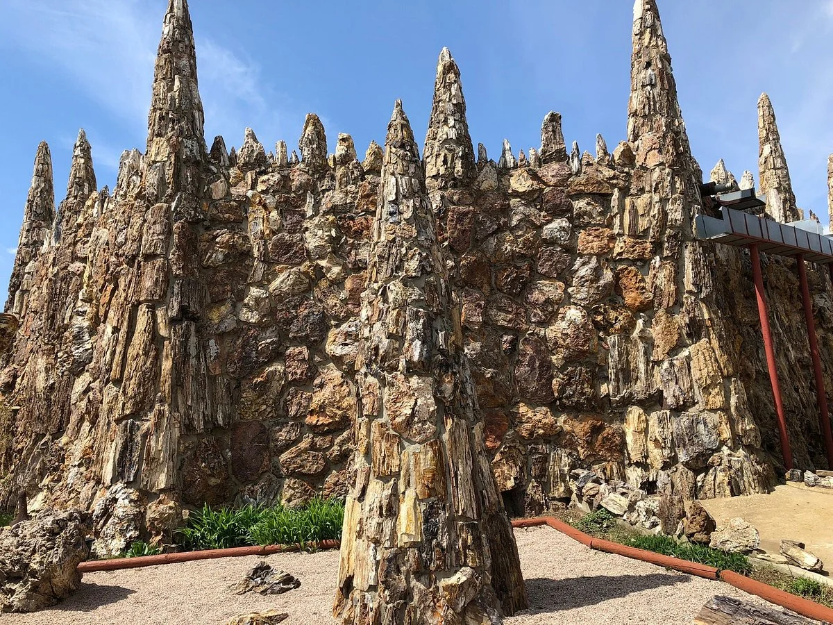 Petrified Wood Park