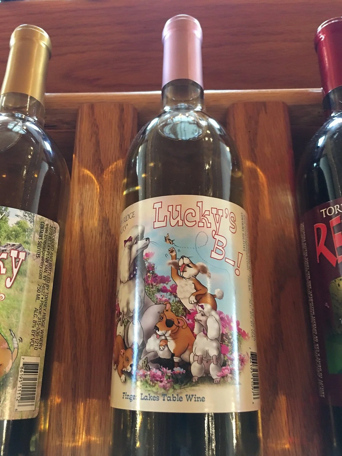 Torrey Ridge Winery