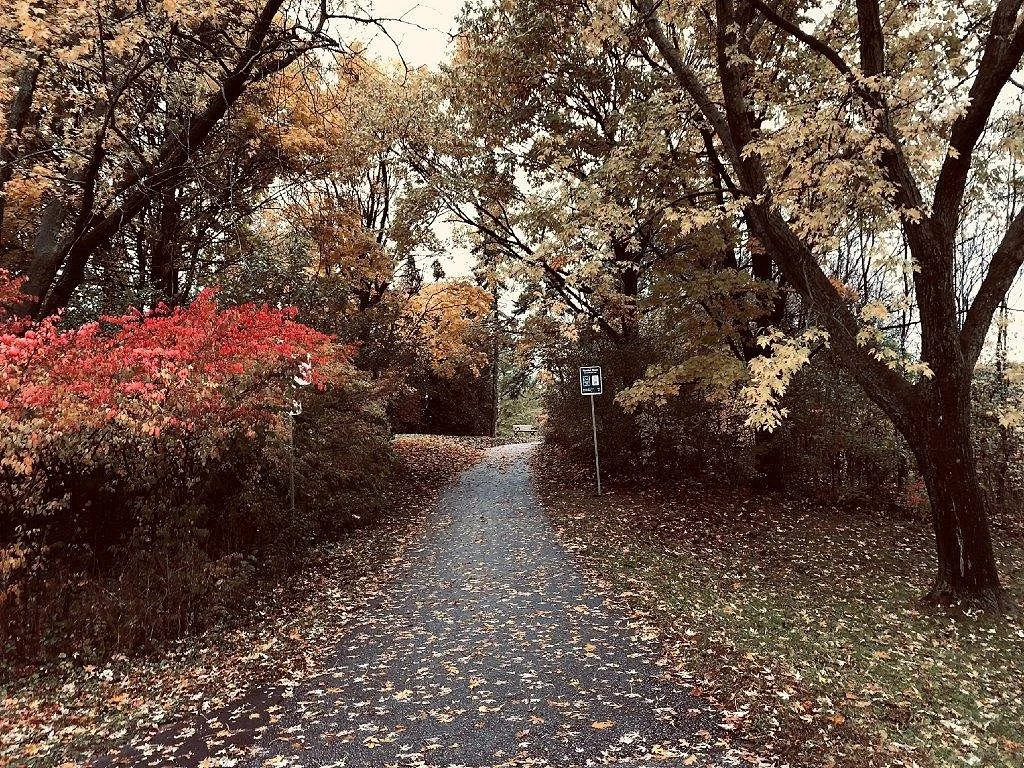 James Gardens