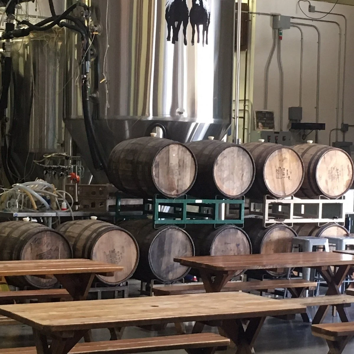 Last Name Brewing