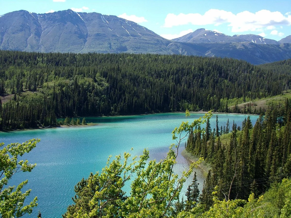 Carcross Visitor Information Center