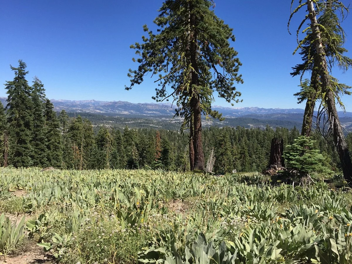 Corral Hollow Trail