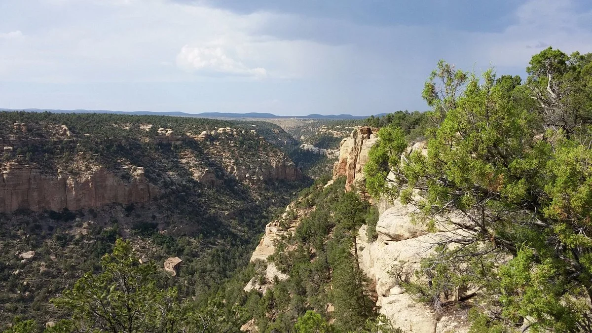 Petroglyph Point Hike