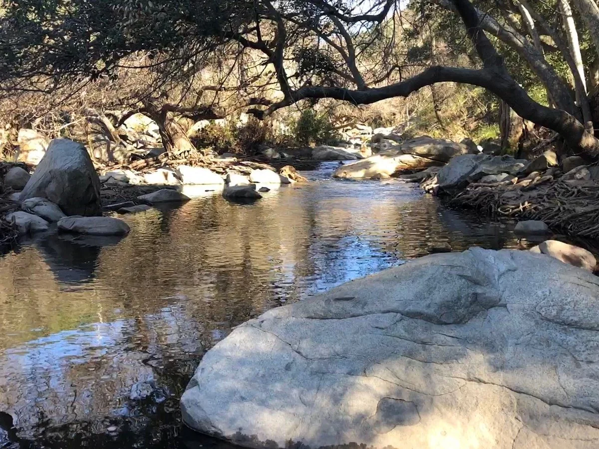 Elfin Forest Recreational Reserve