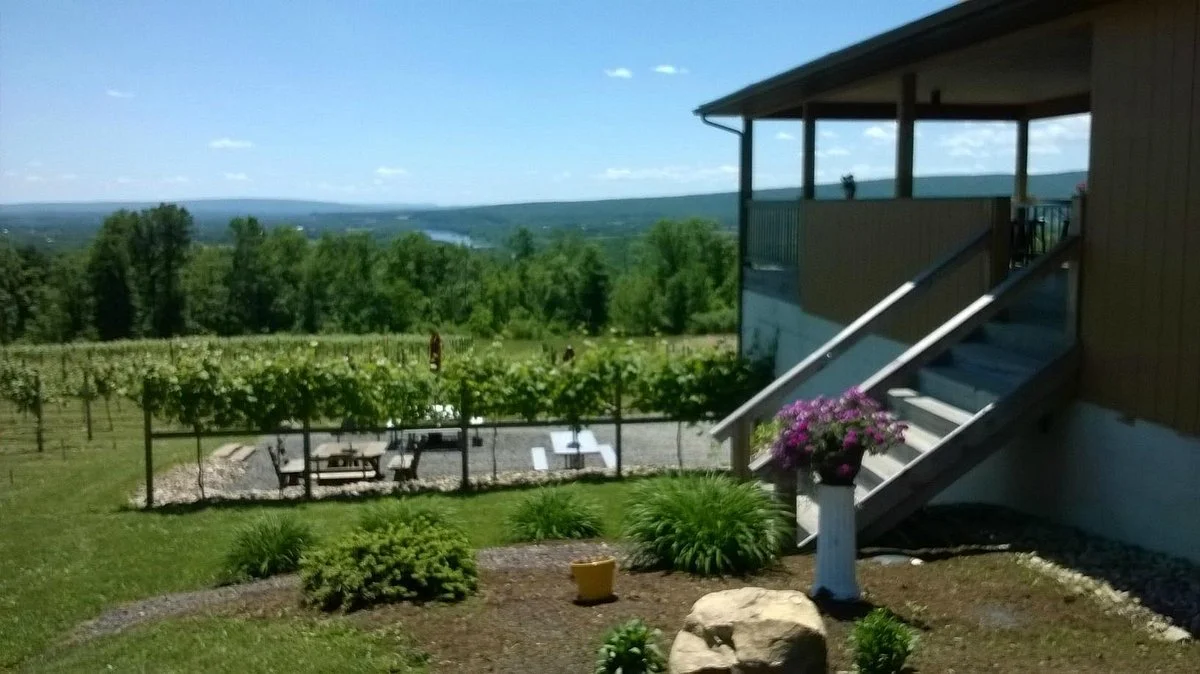 Four Friends Vinyard & Winery