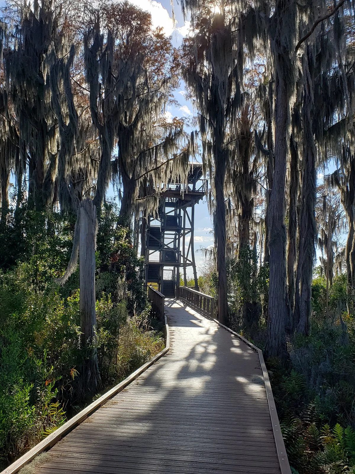 Chesser Island Homestead/Boardwalk