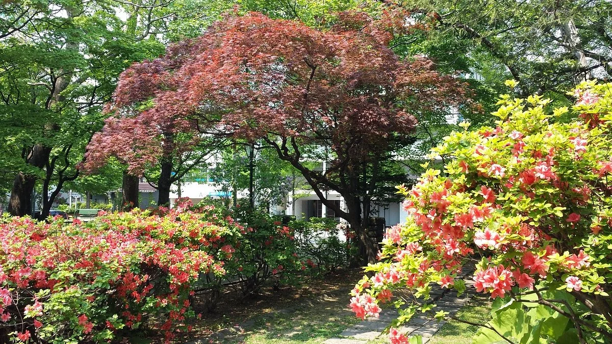 Nagayama Memorial Park