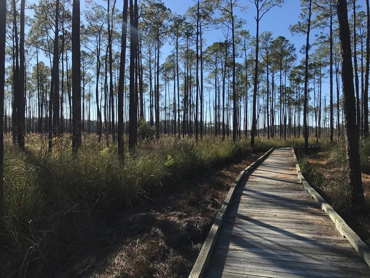 Big Branch Marsh National Wildlife Refuge
