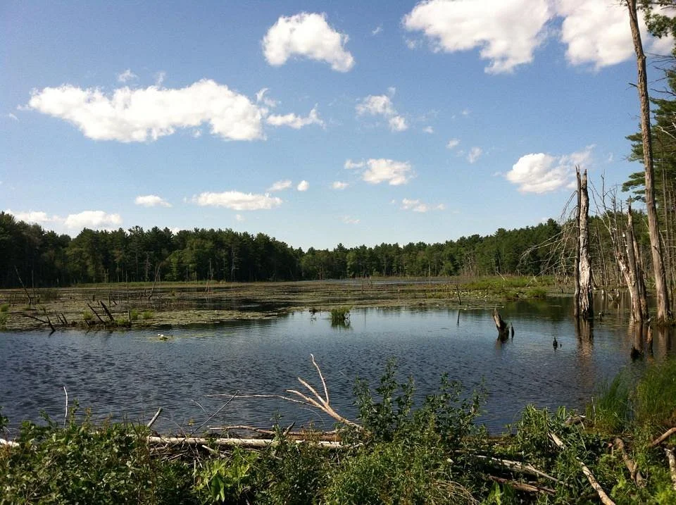 Bay Circuit Trail