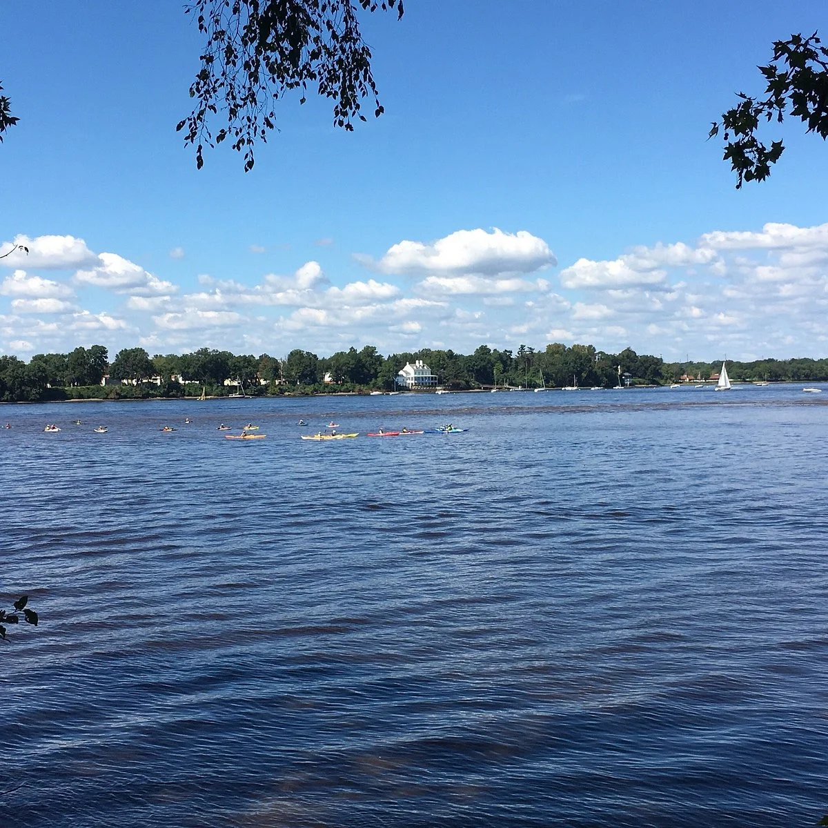 Amico Island Park