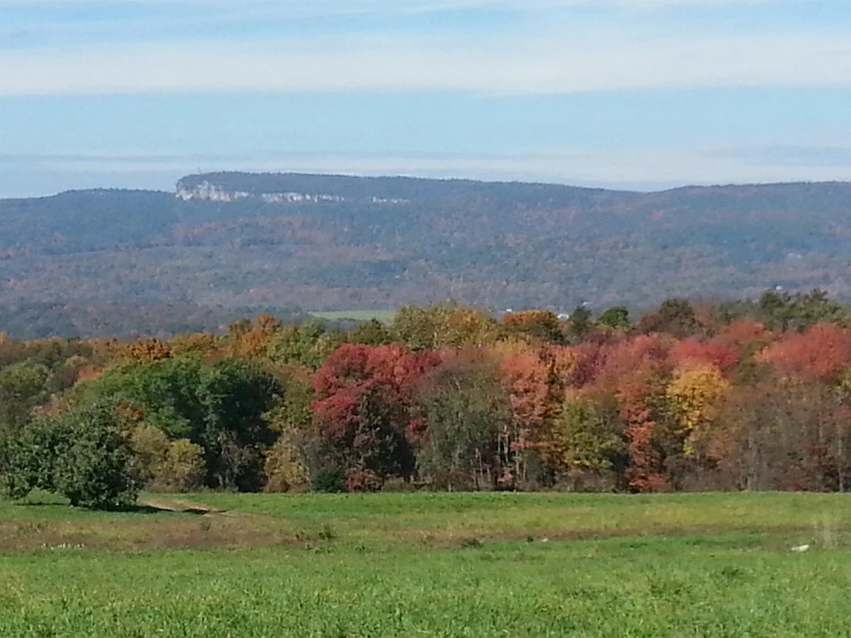 Apple Hill Farm