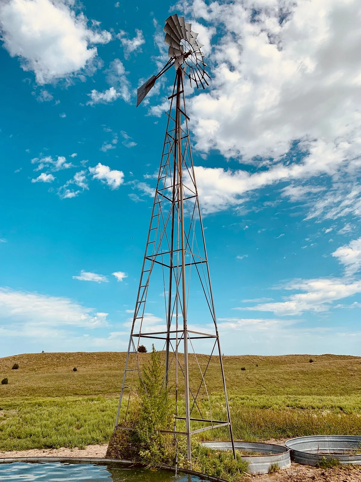 Rowse's 1+1 Ranch