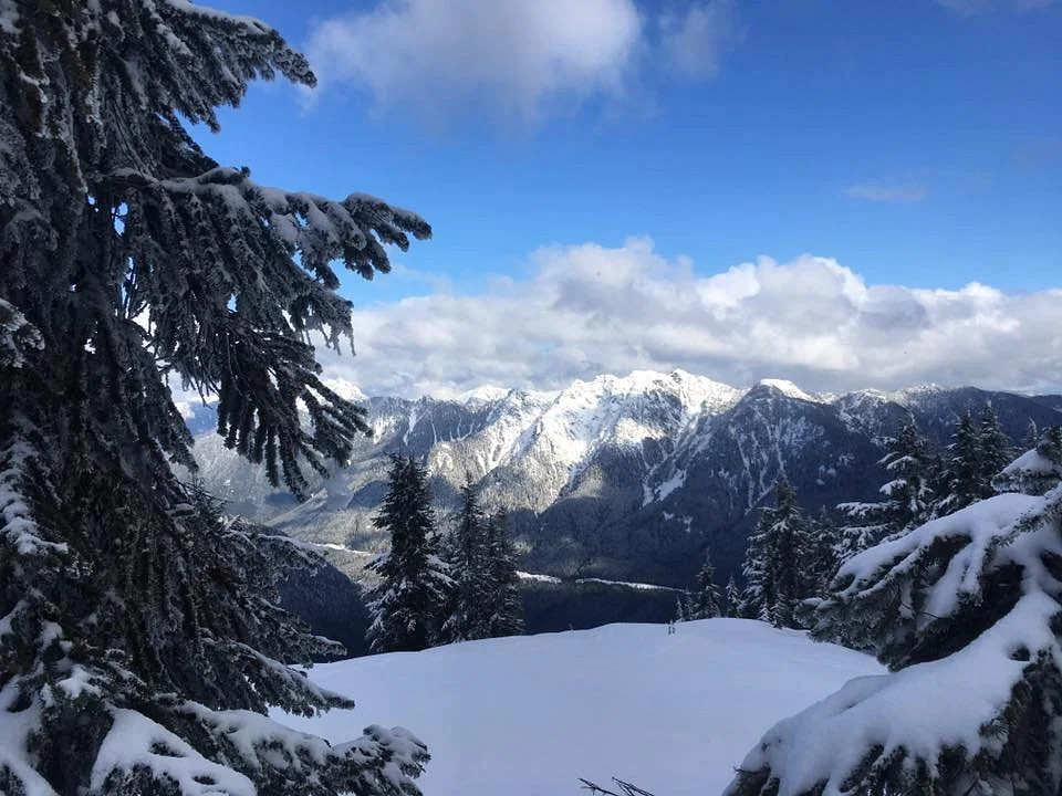 Hollyburn Mountain