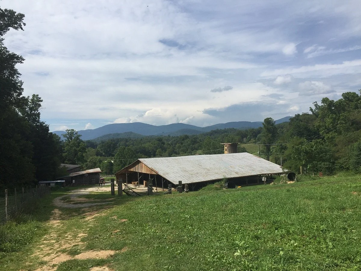 Hickory Nut Gap Farm