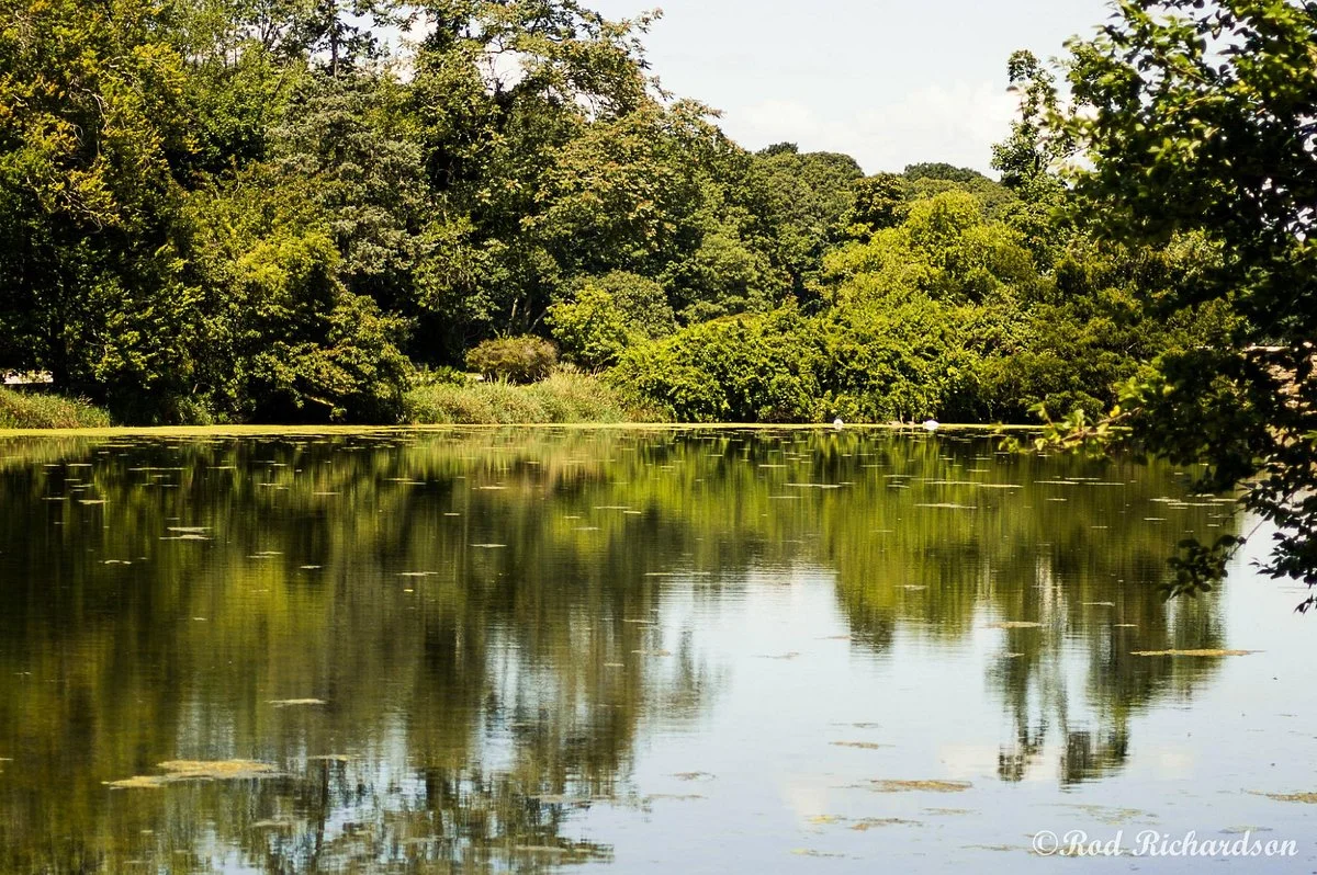 East Setauket Pond Park