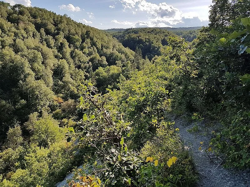 Gorge Creek Trail