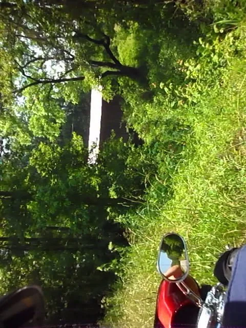 Lula Covered Bridge