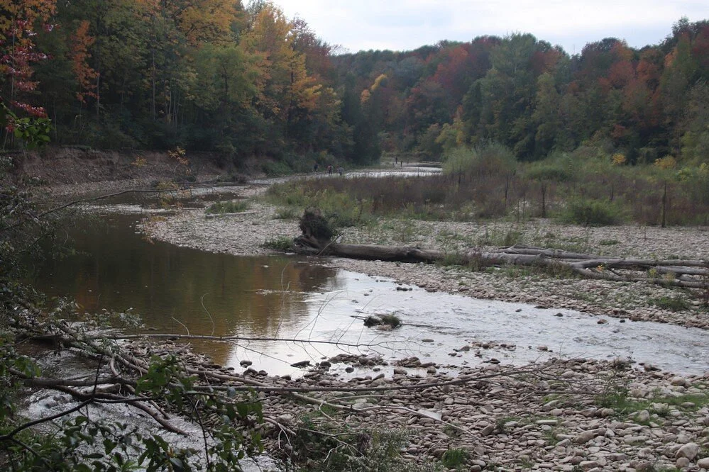Bighead River Conservation Area