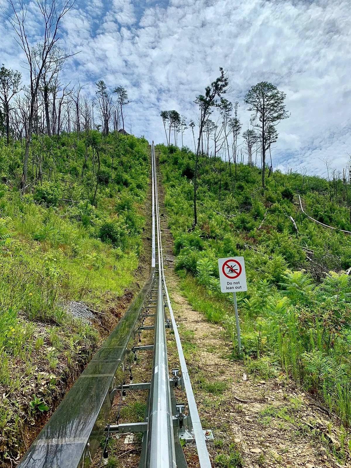 Rail Runner at Anakeesta
