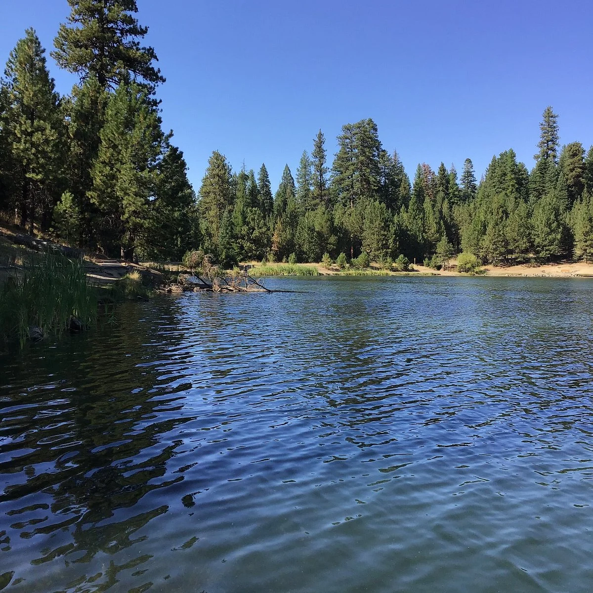 Walton Lake