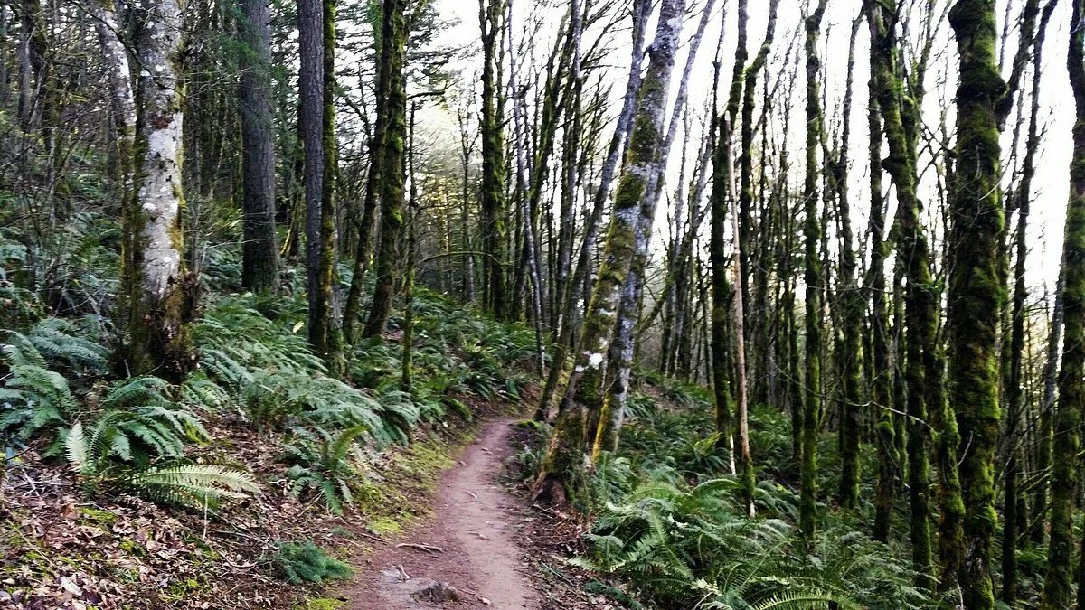 Mount Talbert Nature Park
