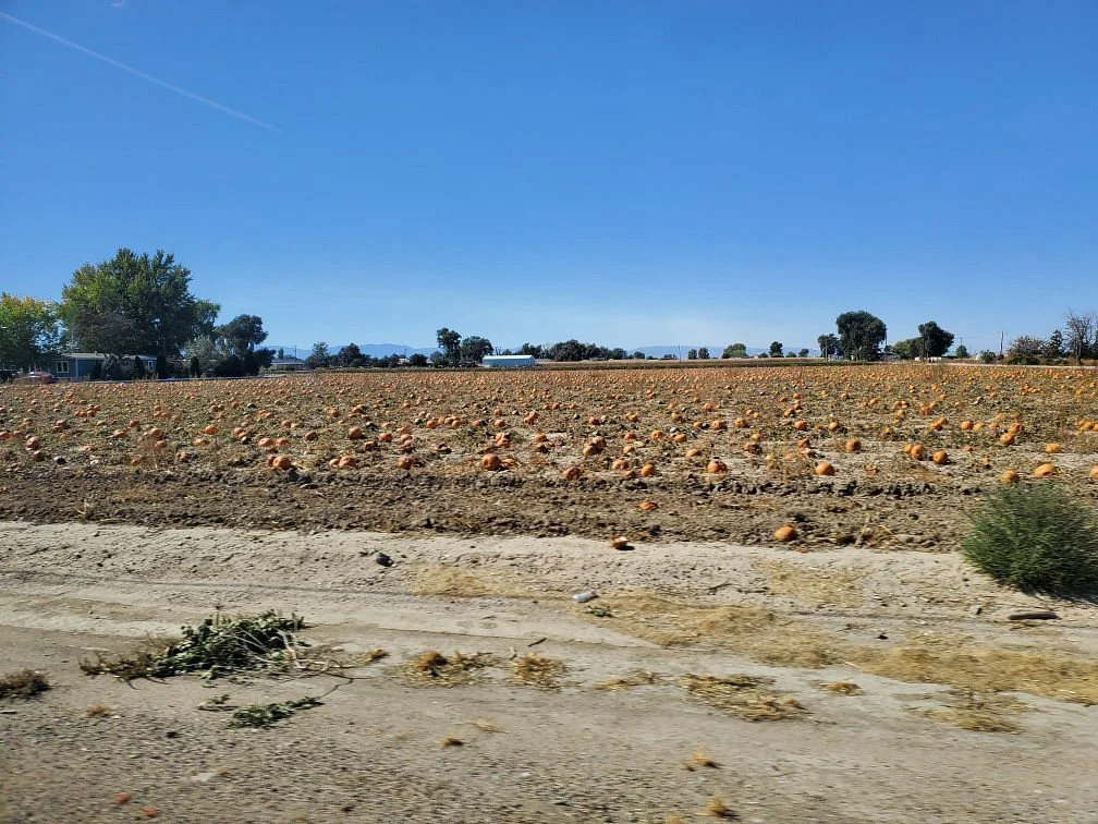 Pantaleo Farms