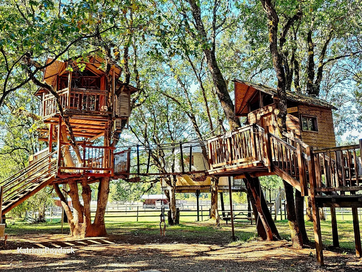 Out'n'About Treehouse