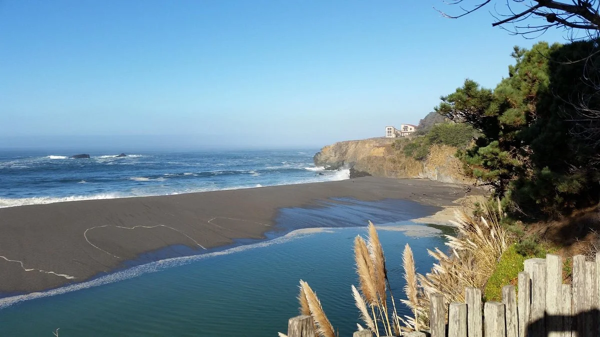 Gualala Bluff Trail