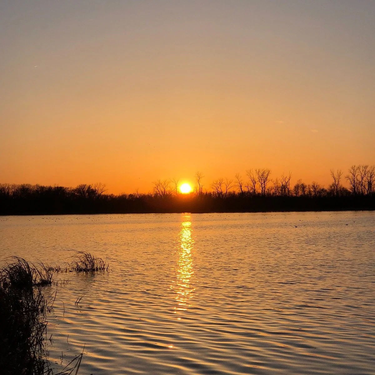 Horseshoe Lake State Park
