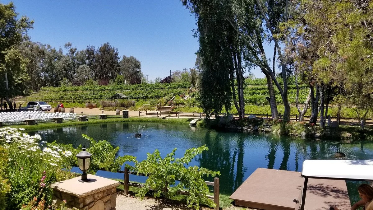 Vitagliano Vineyards & Winery