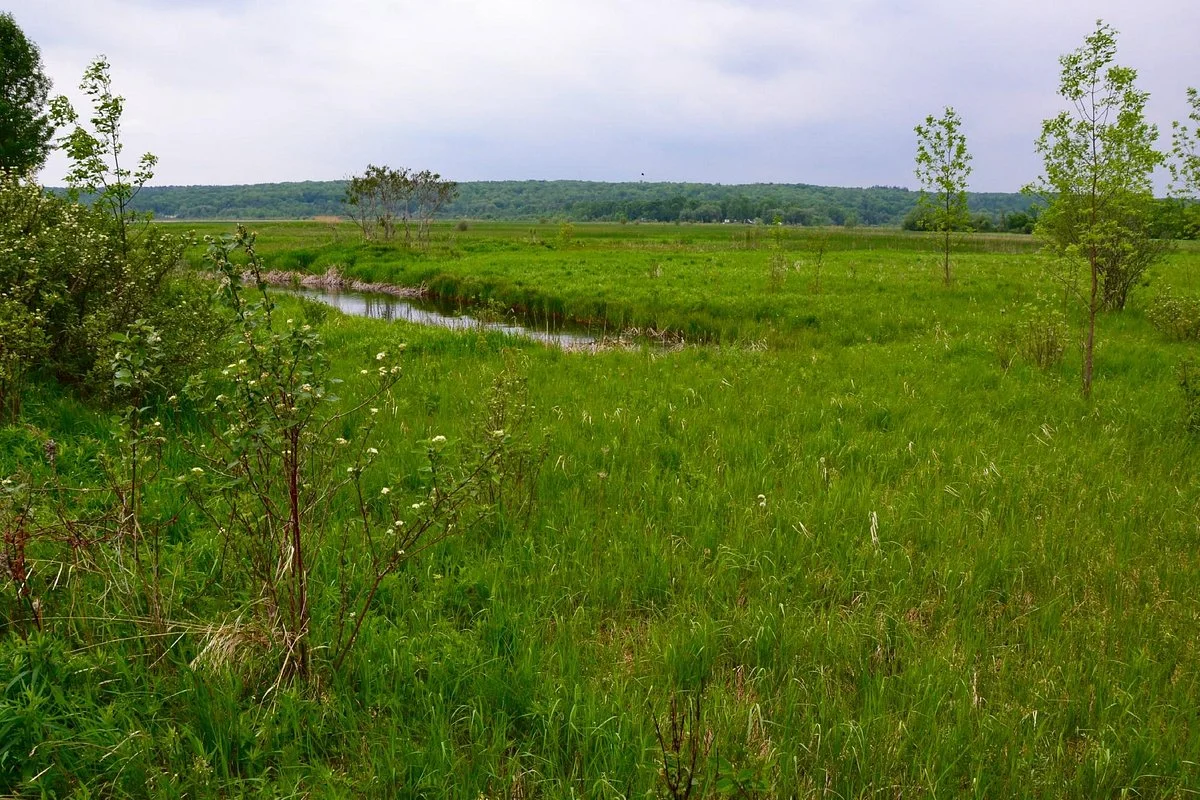 Matchedash Bay Provincial Wildlife Area