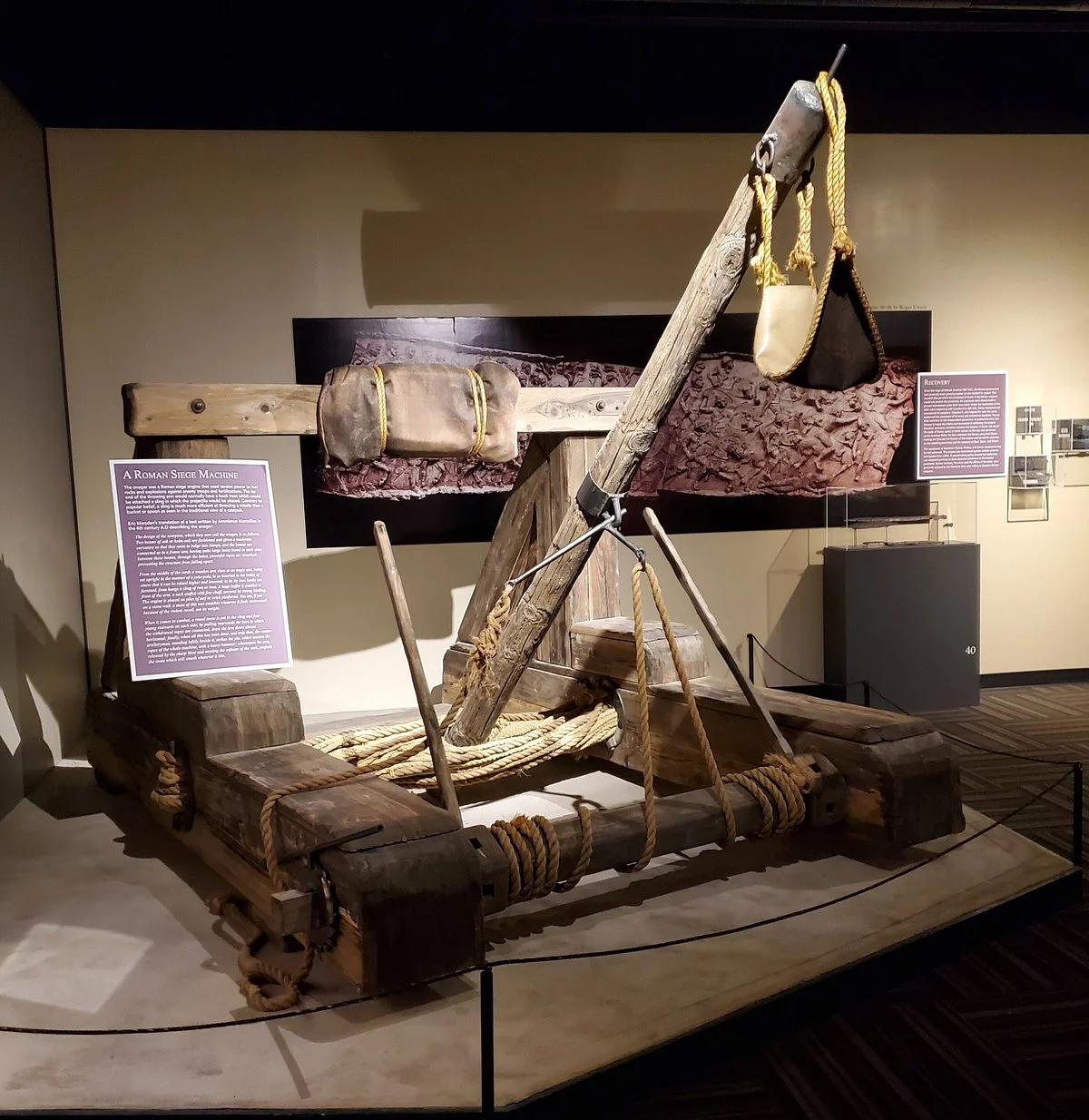 Clayton Museum of Ancient History