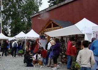 Artisans Open Air Market