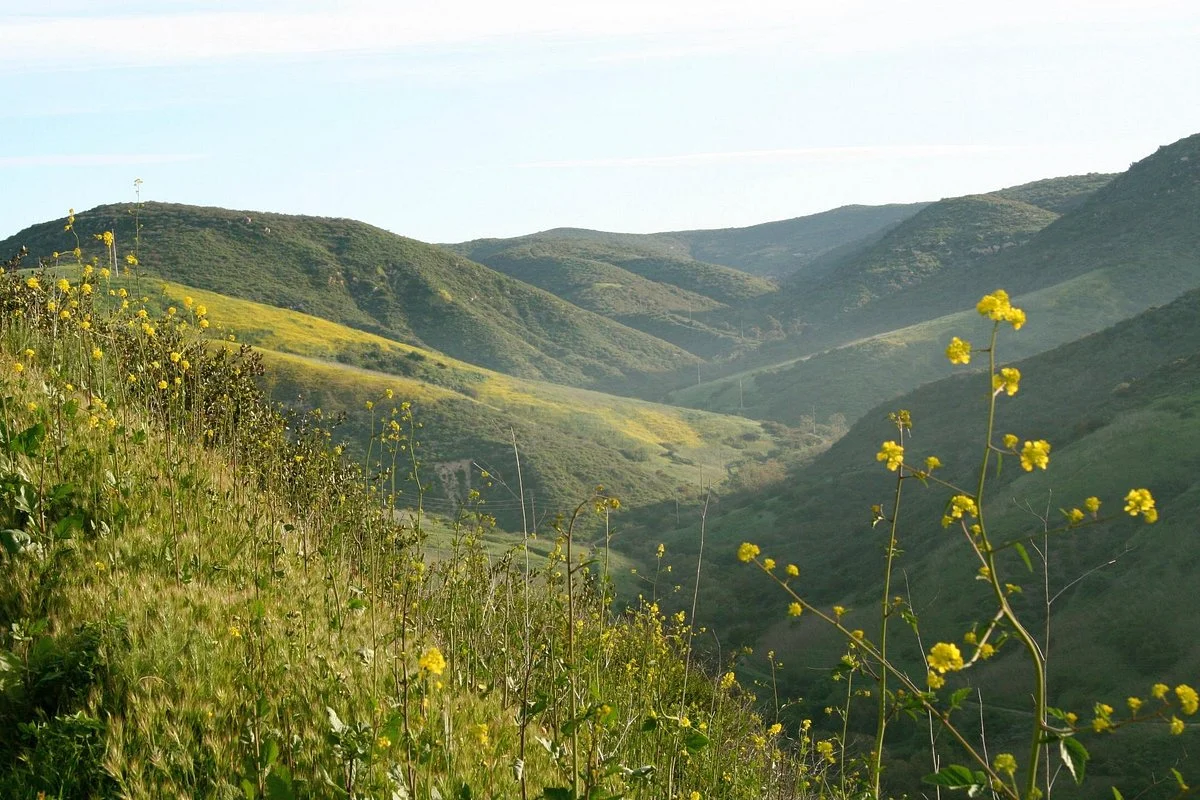 Laguna Coast Wilderness Park