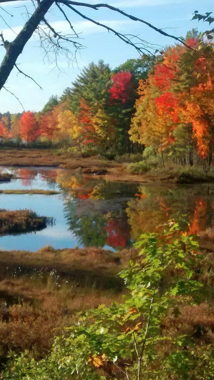 Range Ponds State park
