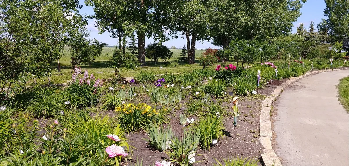 Beausejour Daylily Gardens