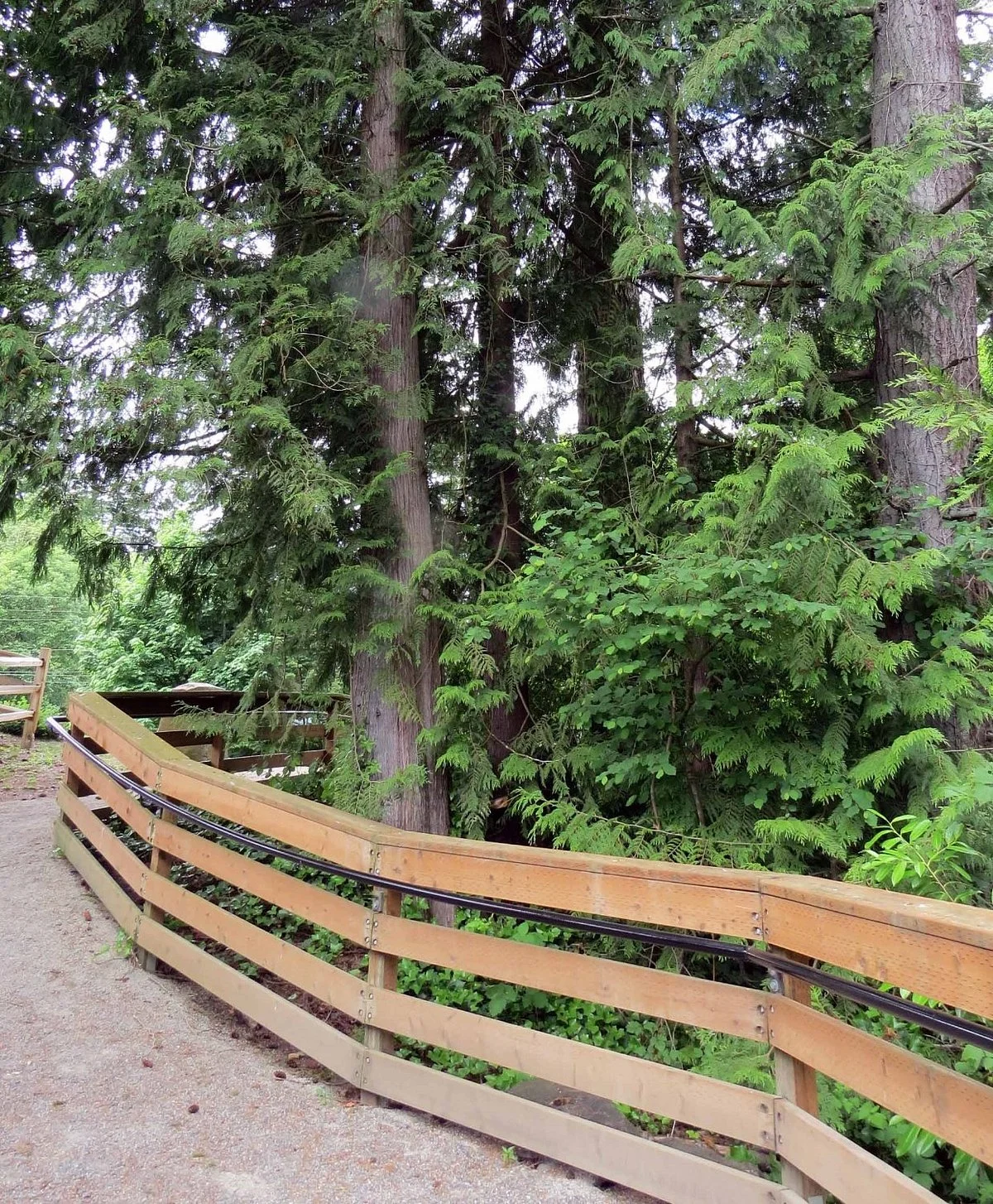 Donkey Creek Park
