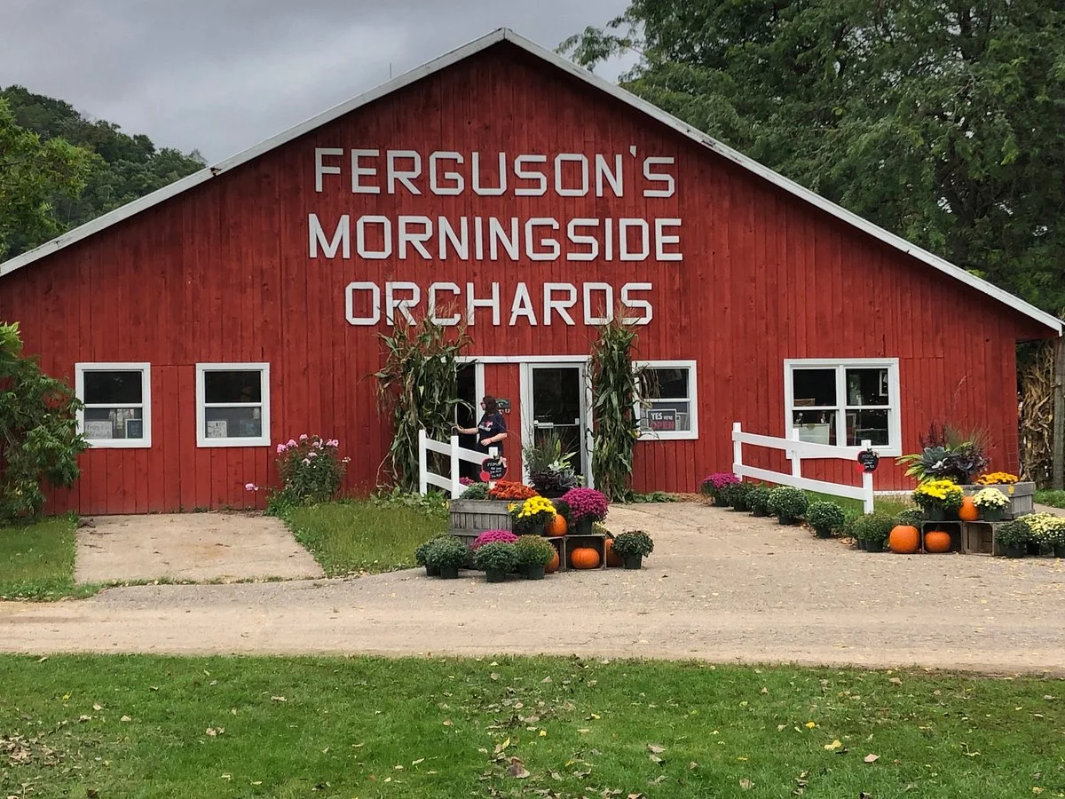 Ferguson's Morningside Orchard