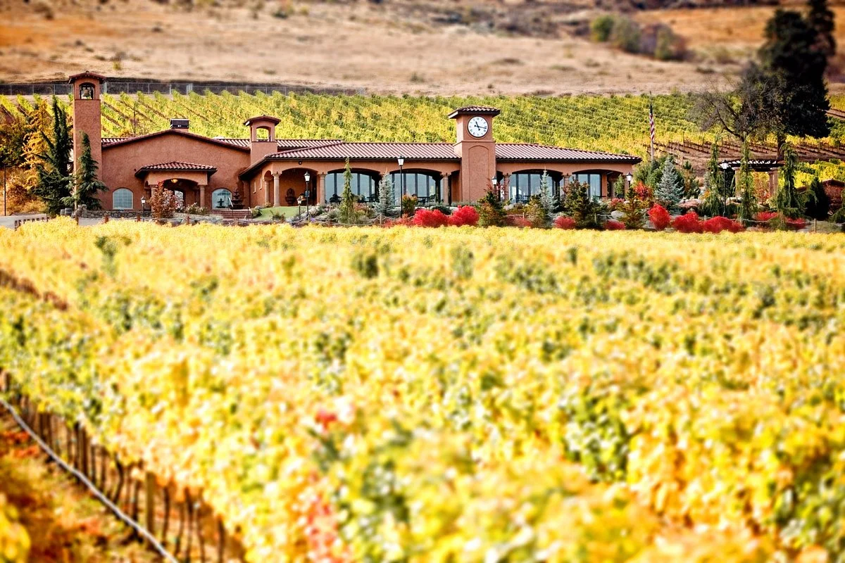 Tsillan Cellars Winery