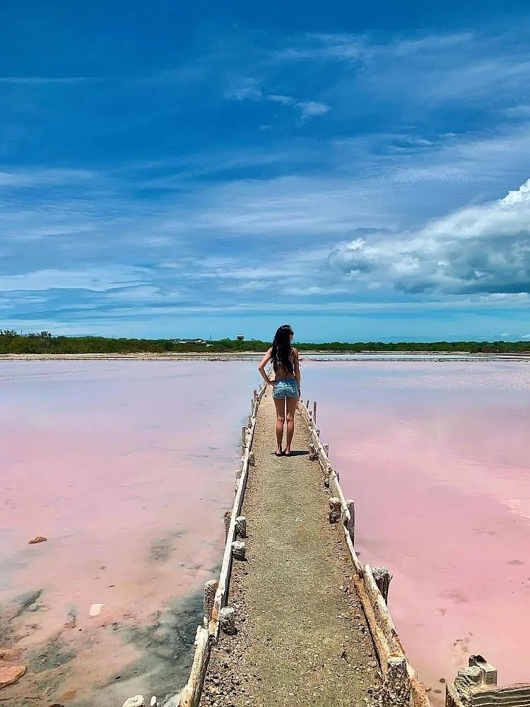 Salinas de Cabo Rojo