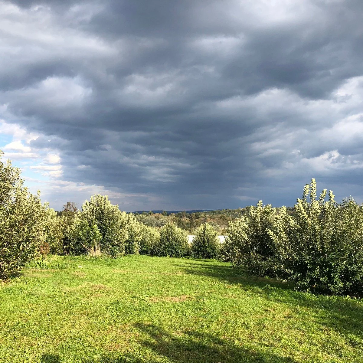 Stuart's Farm