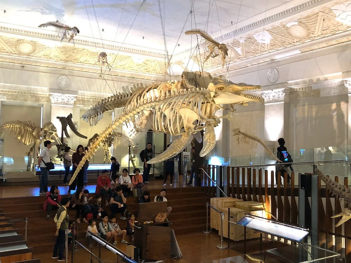 Discovery Center of Taipei