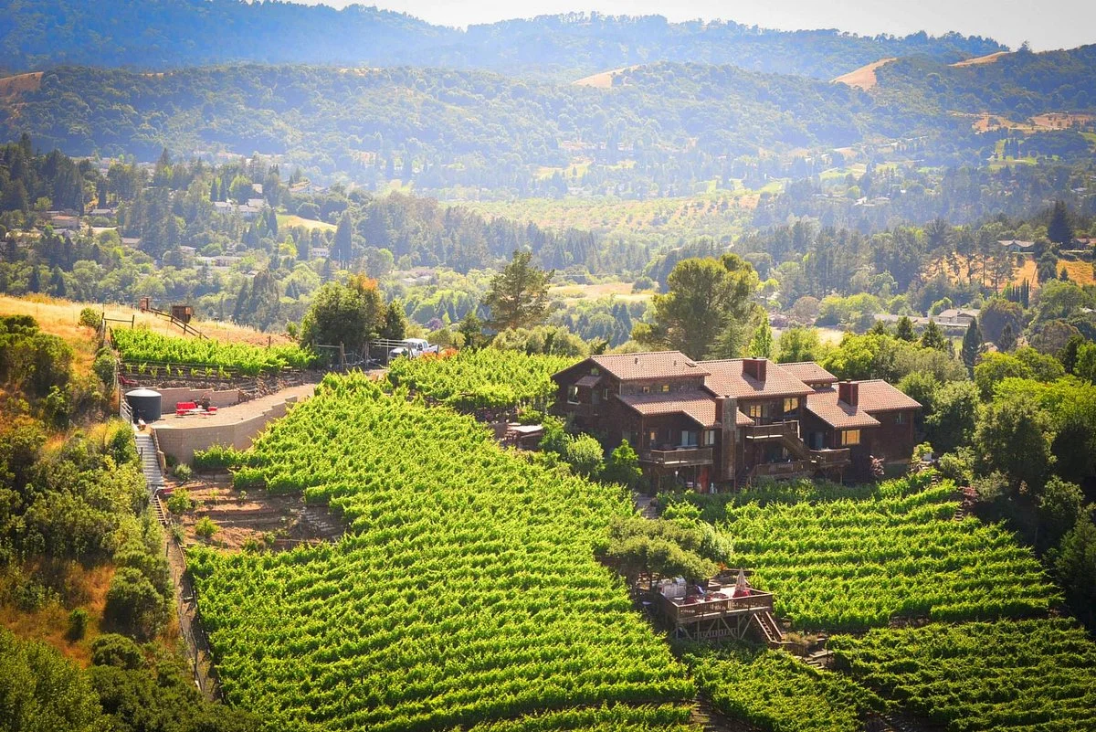 Captain Vineyards