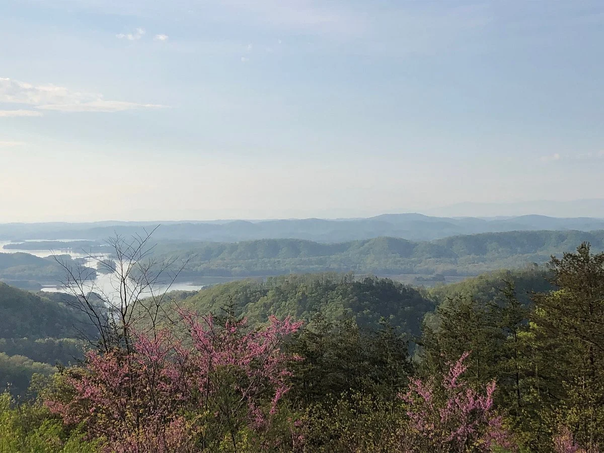 Veterans Overlook
