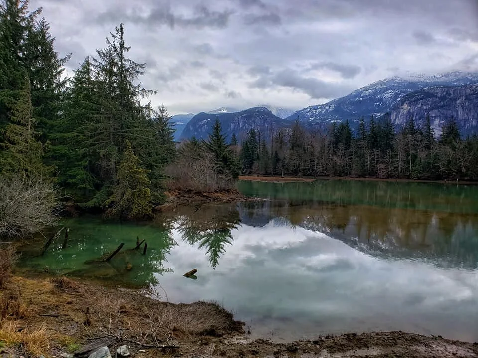 Squamish Estuary